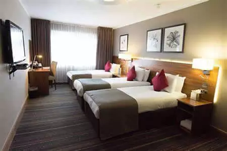 Triple room(Deluxe)